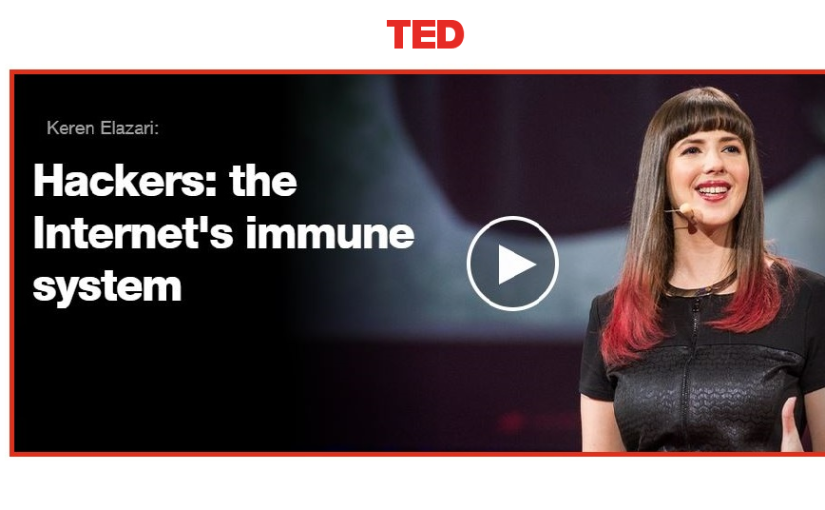 Hackers: the Internet’s immune system |Ted Talks